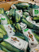 Instant Corn - 5 pcs