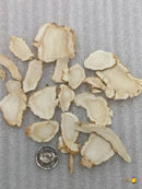 正宗安省原枝花旗参切片 2磅