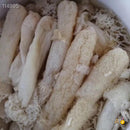 一级野生竹笙 2包 (4两)