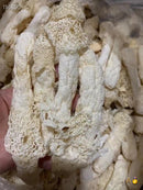 一级野生竹笙 2包 (4两)