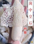 一级野生竹笙 2包 (4两)