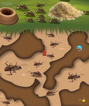 Earth ant medicine made in Japan