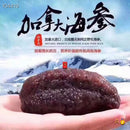 加拿大北极圆筒海参