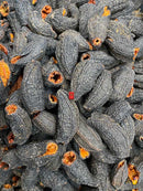 加拿大北极圆筒海参