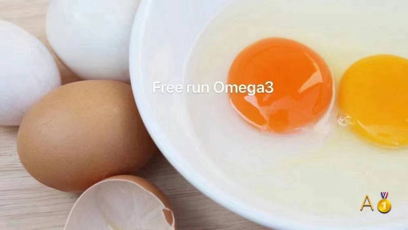 Omega-3红皮鸡蛋L号