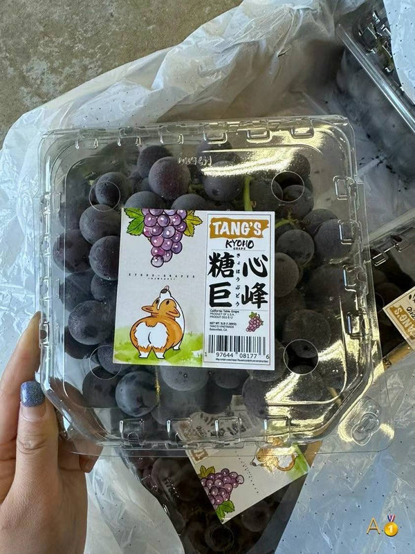 Grape Fairy ~ Kyoho