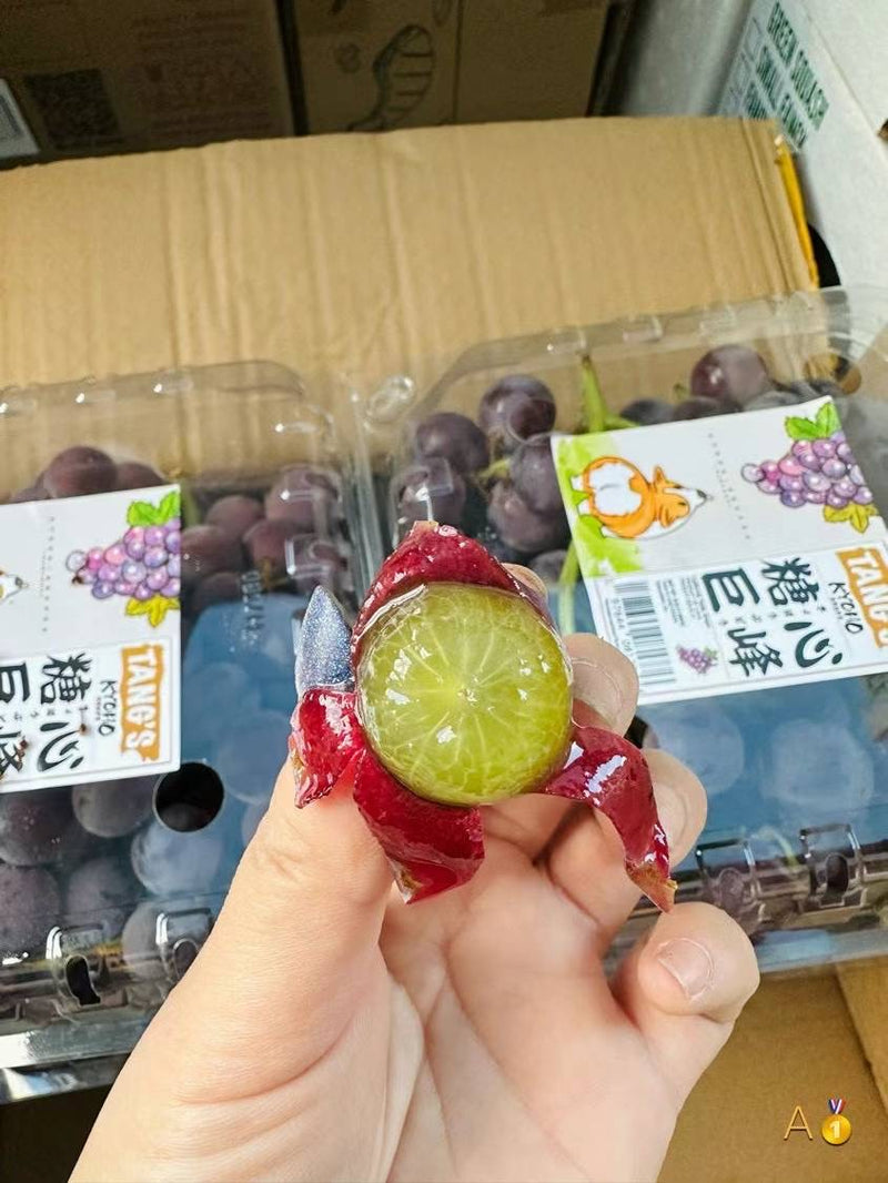 Grape Fairy ~ Kyoho