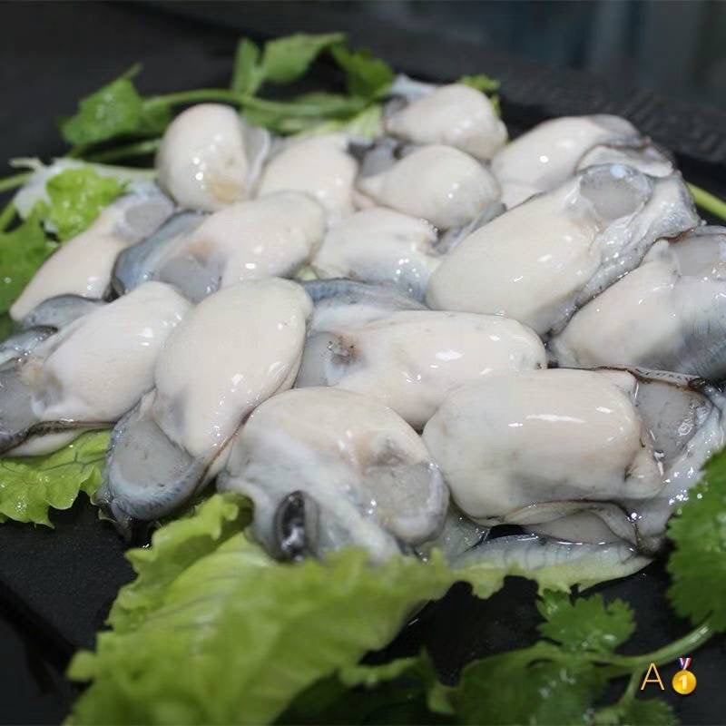 Fatty PEI Oysters