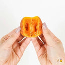 美心流心奶黄月饼