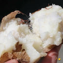 牛奶小芋头 5磅