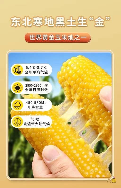 One Mu Granary Sweet Waxy Corn