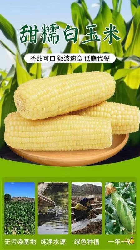 One Mu Granary Sweet Waxy Corn