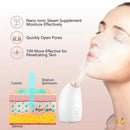 升级版家用离子蒸脸仪