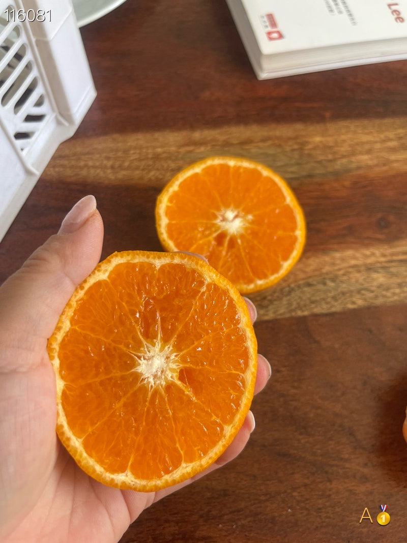正宗以色列橘子