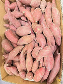 日本品种小红薯