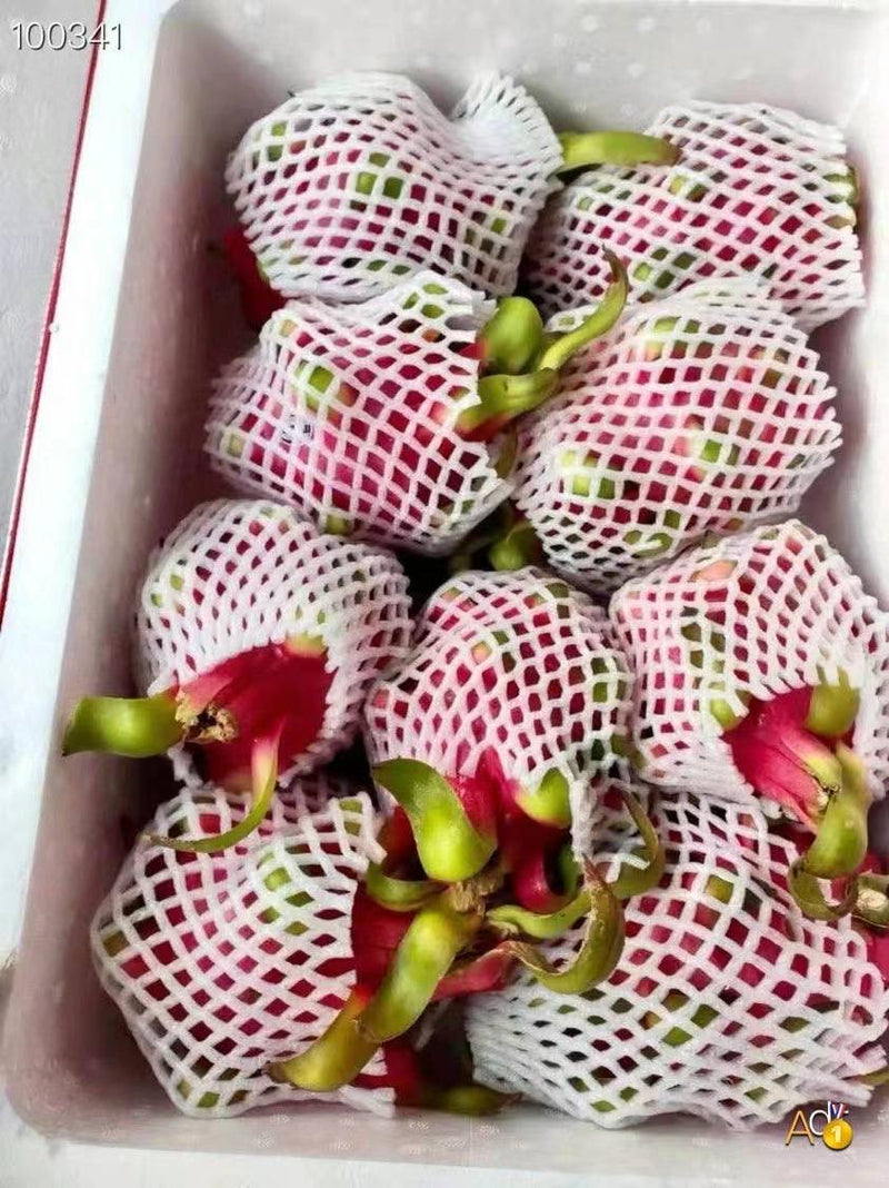 Ecuador 🇪🇨🇻🇳white flesh dragon fruit