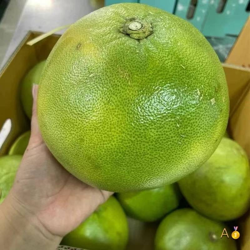 Golden pomelo one