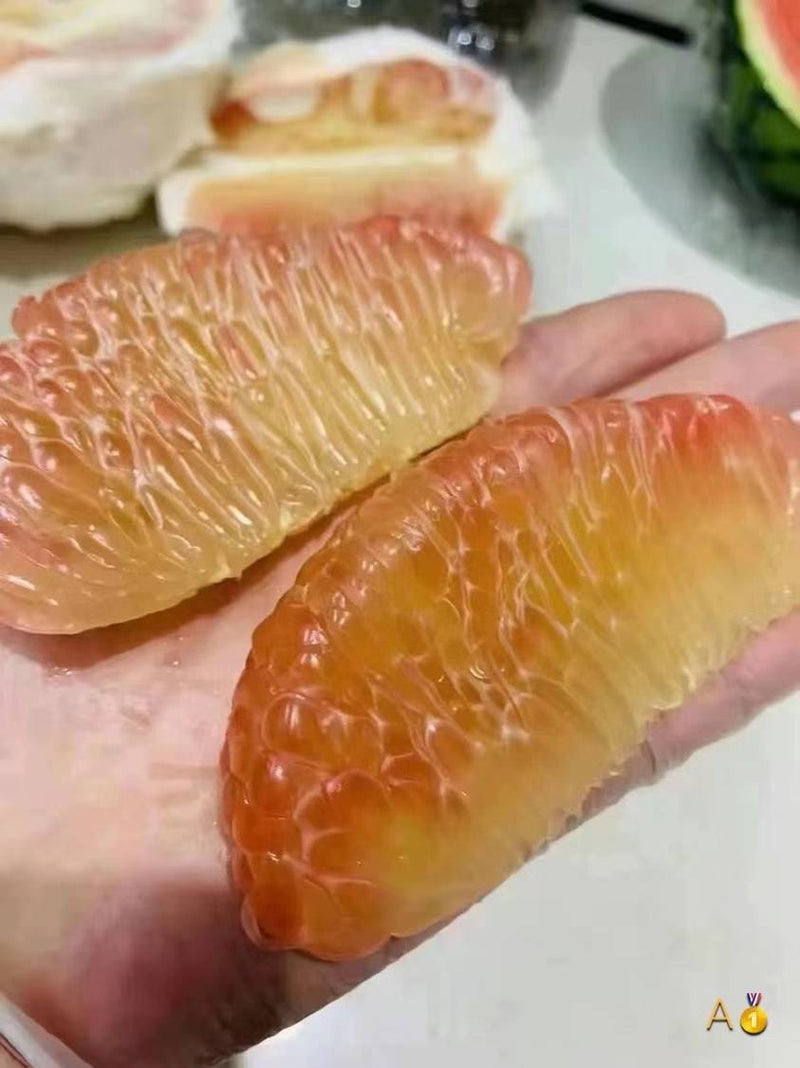 Golden pomelo one