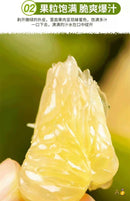 泰国糖白柚 2颗