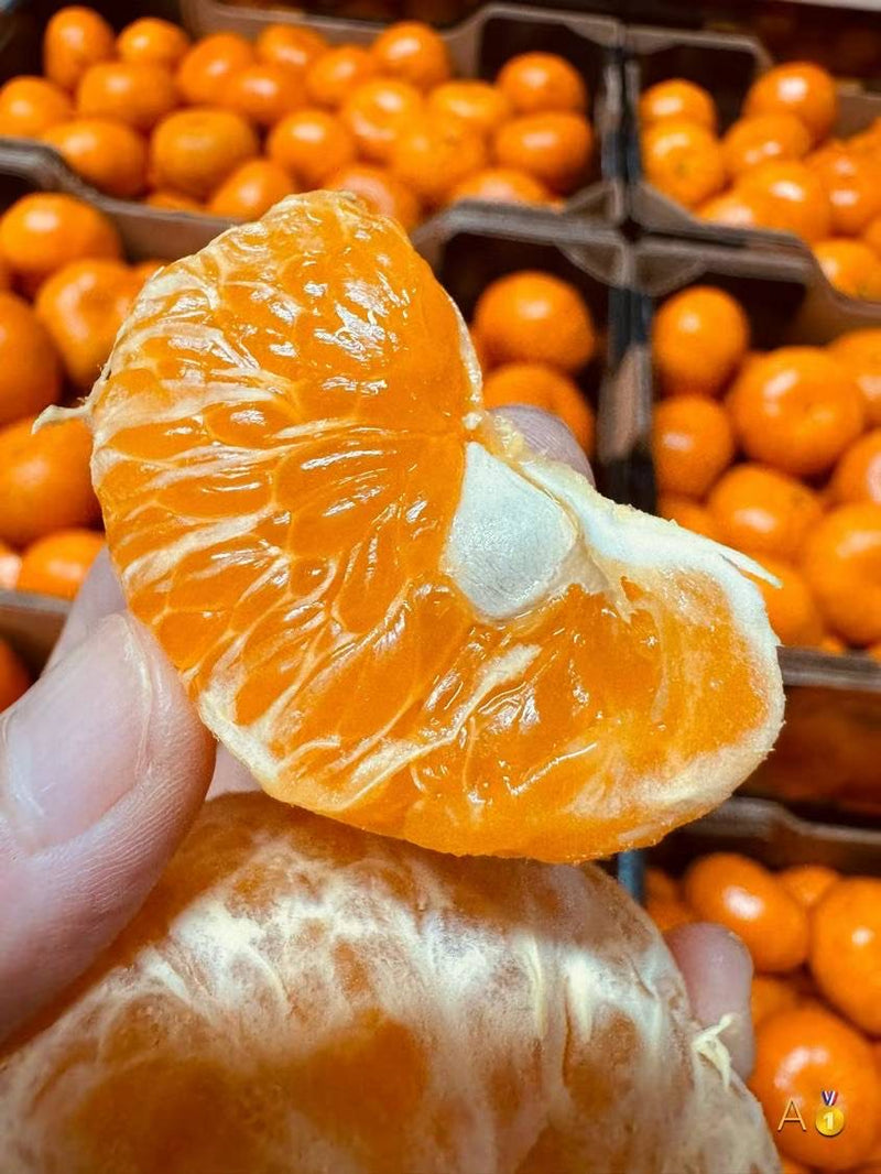 Argentine Sweet Orange