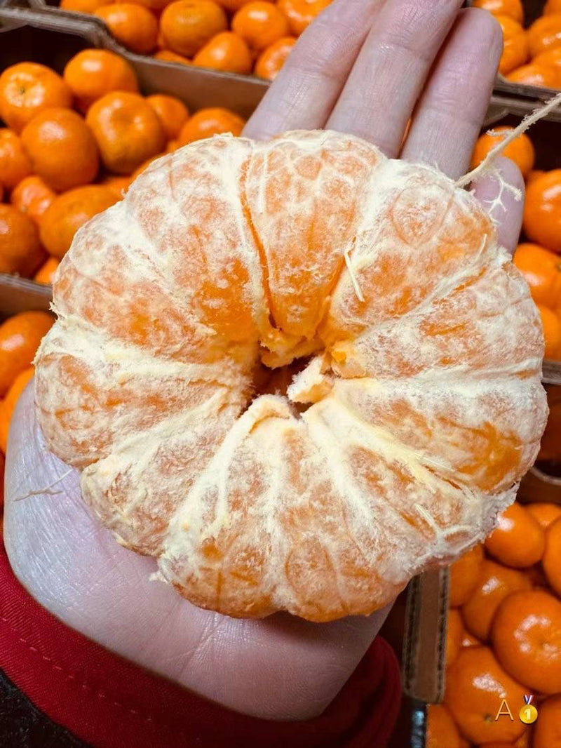 Argentine Sweet Orange