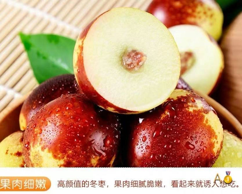 honey winter jujube