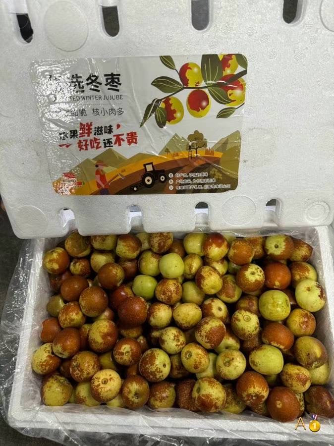 honey winter jujube