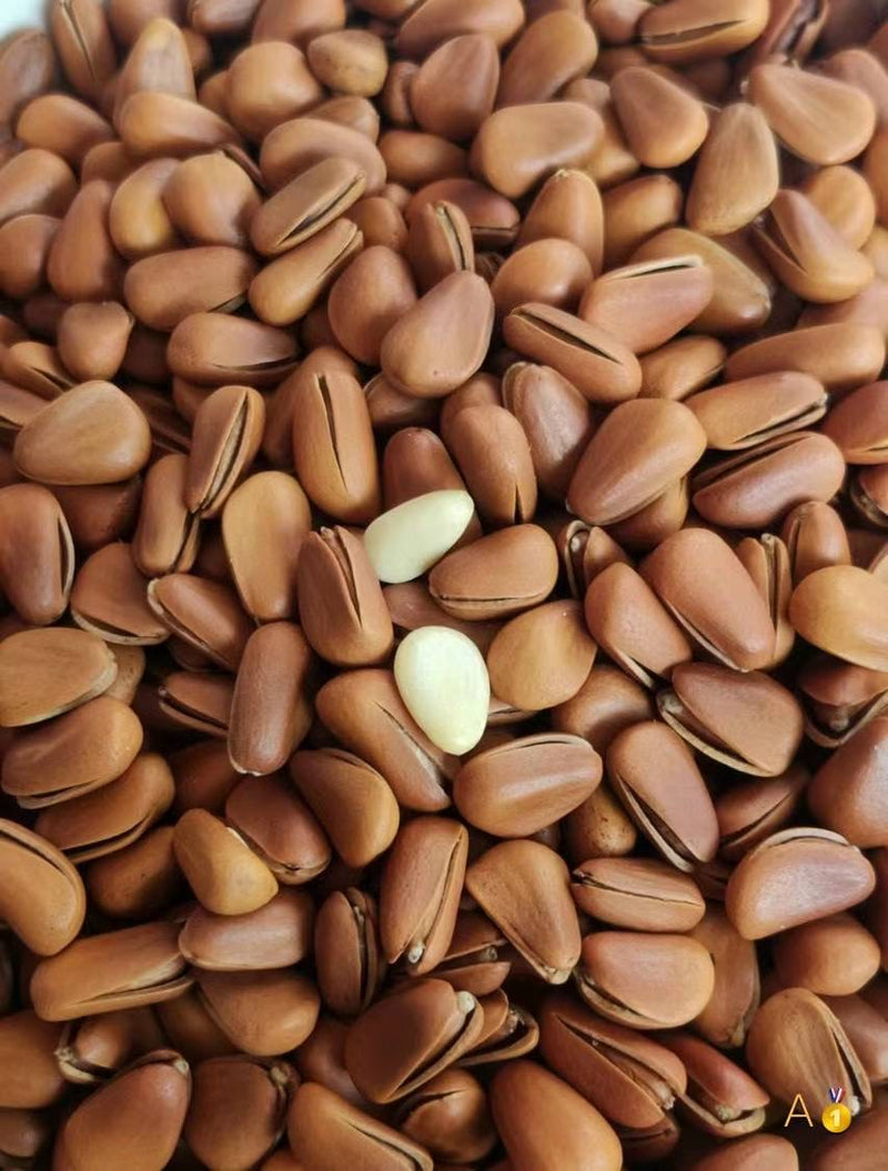 Organic Pine Nuts