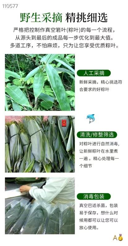 新鲜箬竹粽叶