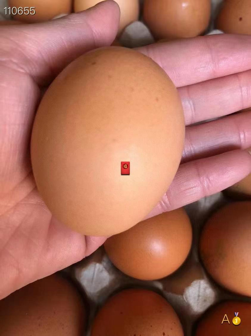 XL黄壳土鸡蛋
