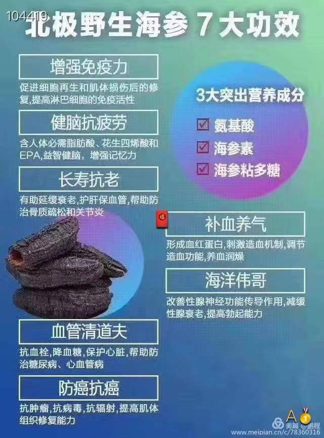 北极圆筒海参