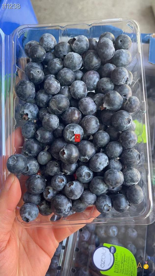 OZBIU蓝莓