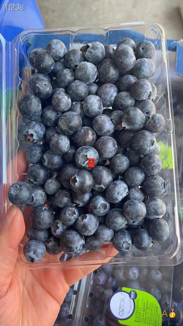 Ozbiu blueberry