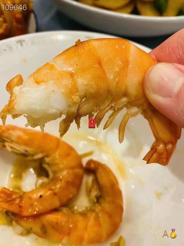 ace shrimp
