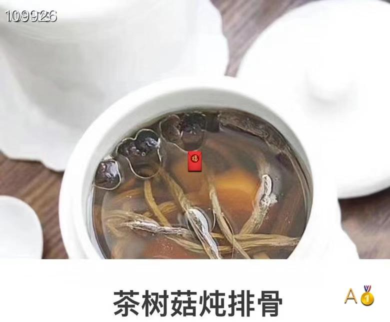 树茶菇