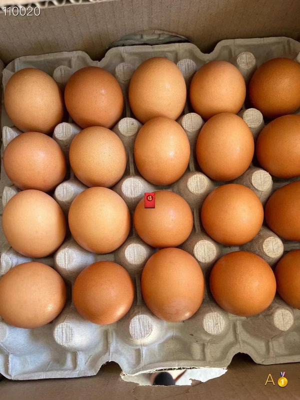 Jumbo鸡蛋